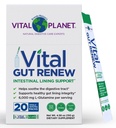 Vital Planet - Vital Gut Renew Powder Supplement for Leaky Gut Repair with L-Glutamina, Marshmallow and Ginger Root, DGL Licorice Root and Organic Aloe Vera, L Glutamina 6000mg, 20 Pacotes de serviço único