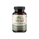 TERRA ORIGIN Healthy Mind and Memory Support Supplement □ Matriz de Memória Cognitiva □ Nootropic CDP, Bacopa, L-Tirosina, Huperzina A, Ginko, B12