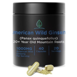 Holistic Bin Wild American Ginseng Cápsulas Pure Organic Ginseng Suplemento Made with Wild Harvested 20+ Year Old Raots from Appalachia (Panax Quinquefolius) □ Sem preenchimentos (40 Cápsulas)