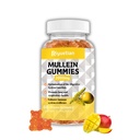 Mullein Gummies, 2000mg Extrato de Folha de Mullein Orgânico com Quercetin, Bromelain & Vitamina D3, Extrato de Folha de Mullein para Respiração, Limpeza de Pulmão Natural, Melhorar o apetite, Vegan, Não-GMO, 1 pacote