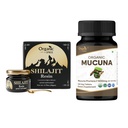 SPREE ORGANIC Puro Himalayan Shilajit Resin & Mucuna Supplement – 20g & 120 Comprimidos – 85+ Trace Mineral Fulvic Acid Resin & USDA Organic Mucuna Pruriens