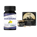 ORGANIC SPREE Gokshura & Himalayan Shilajit – USDA Orgânico Tribulus Terrestris 120 Comprimidos e 20g Resina com 85+ Trace Minerals – Suporta Energia e Saúde Imune*