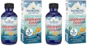 Naturals Nordic Children's DHA Xtra, Berry Punch - 2 onças para crianças - 880 mg Total Omega-3s com EPA & DHA - Função Cognitiva e Imunitária, Aprendizagem, Desenvolvimento Social - Não-GMO - 48 Servings (Pacote de 2)