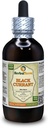 Groselha preta (Ribes nigrum) Tintura, folhas secas Extrato Líquido (Nome: HerbalTerra, Proudly Made in USA) 4 fl.oz (120 ml)