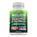 Mullein Leaf Extract para pulmões Cleanse NAC Suplemento chlorophyll chlorophyll Elderberry Ginger Licorice Astragalus Orégano Suporte Turmérica 90 Contagem