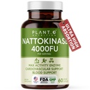 Suplemento Nattokinase com suporte Max Enzyme - 4.000 FU por serviço - Fórmula Premium Nattokinase para apoio à saúde do coração - 60 Cápsulas - Made in USA