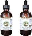 Hawaii Pharm Oregon Grape Alcohol-Free Liquid Extract, Oregon Grape (Mahonia aquifolium) Secado Root Glicerite Natural Herbal Supplement, USA 2x2 fl.oz