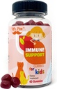 Sr. Pen Elderberry Vitamina C Gummies Zinc para crianças □ 60 Contagem de 2 meses de fornecimento □ 4+ Anos, Gummies de apoio imunológico, Baixo açúcar, Não-GMO, Vegan, Glúten livre, Pectin Chews