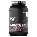 EFX Sports Karbolyn Combustível . Rápido-Absorvente Carboidrato Pó . Carga de carboidratos, Energia Mantida, Recuperação Rápida . Estimulante livre .. 36 Servings (Kiwi Strawberry)