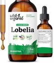 Selvagem e orgânica Lobelia Tintura - Purificação de Pulmão de Ervas e Detox - Líquido Lobelia Extrair Suplemento - Vegan, Açúcar & Álcool Drops Herb - 2 fl oz
