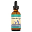 Ervas para crianças Echinacea/Astragalus (4 onças)