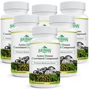 Hexose Ativa Correlacionado Composto 1500 mg Suplemento, Suplemento Natural 8 Cogumelo Extrato, Sistema Imune, Função Fígado, Assassino Natural e Células T Atividade, 540 Cápsulas Veggie