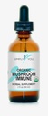Suporte de defesa imune do cogumelo orgânico . Gotas com Absorção máxima e biodisponibilidade, Vegan, Herbal 525mg por serviço ● 2 Meses Fornecimento