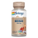 SOLARAY Reishi Mushroom 600mg - Reishi Mushroom Cápsulas para Suporte Immune - Vegan, Lab Verificado - 60-Day Money-Back Garantia - 100 Servings, 100 VegCaps