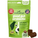 Mastigações probióticas para cães Gut Saúde e Probióticos saborosos para cães Digestive Saúde com abóbora cão Probióticos e enzimas digestivas