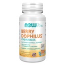 Now Foods Supplements, BerryDophilusTM com 2 bilhões, 10 Strains probióticos, Xilitol Adoçado, Strain Verificado, 60 Chewables, embalagem pode variar