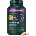 VetriScience Quick Action UT Health Chewable Tablets, UT Strength STAT Supplement for Dogs, Cranberry, Uva Ursi, e Chanca Piedra para acalmar o desconforto do trato urinário, Smoke, 90 Contagem