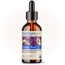 Motherlove Goat’s Rue (2 Ounce Tincture) Suplemento de lactação para desenvolvimento de tecido mamário e otimização da oferta de leite materno—USDA Certified Organic, Vegan, Kosher, Soy-Free