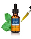 Herb Pharm Organic Kava Raiz Extrato Líquido para alívio de estresse e relaxamento*: Vegan Kava Extract, Não-GMO Kava Kava Tintura para acalmar e relaxar o humor, Sem glúten, 1 Oz