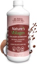Tesouro Enterrado Vollagen Natureza – 2000mg Complexo de Vollagen, Pele, Cabelo e Saúde Conjunta, 100% Baseada em Plantas, Sem Glúten, Sem Soja, Sem Leite, Chocolate Mocha Flavor, 16oz Líquido