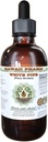 Pinho branco extrato líquido sem álcool, Pinho branco (Pinus Strobus) Bark seco Glicerite Suplemento de ervas naturais, Havaí Pharm, EUA 4 fl.oz