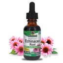 Resposta da natureza Echinacea Alcohol Free Extract 1 Onça fluida Promove o bem-estar geral