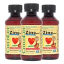 ESSENCIAIS FILHOS Zinco Líquido Plus para Crianças e Crianças - Suplemento líquido Drops, Gluconato de Zinco e Cobre para Suporte Imune - Morango de Mango, 4 Fl Oz (Pacote de 3)