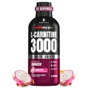 ProSupps L-Carnitina Líquido 3000, Estimulante-Liquido Tiros para homens e mulheres - Clean Workout Drink for Energy, Performance & Muscle Recovery - Sem açúcar, Sem carboidratos - 31 Servings, Dragon Fruit