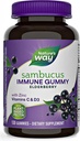 Natures+Way Sambucus Elderberry Gummies, com vitamina C, vitamina D e zinco, suporte imunológico para crianças e adultos, 120 chicletes