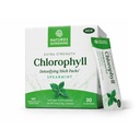 Pacotes Sunshine Chlorophyll Stick da natureza: sobrecarregue seu detox e aumente a saúde da gut em embalagens convenientes, Delicious Stick (Spearmint)