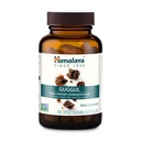 Himalaya Guggul - Suporte de fígado de ervas para Detox Fígado, Colesterol, HDL & LDL Suporte - Vegan, Não-GMO, Glúten livre, 720 mg, 60 Cápsulas