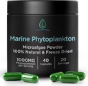 Cápsulas de Fitoplâncton Marinho por holistic Bin Naturalmente cultivada em água do mar nórdico □ Vegan Omega 3 Suplemento □ Rico em aminoácidos, clorofila, vitaminas, & Trace Minerals