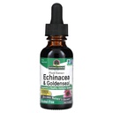 Resposta da natureza Enchinacea & Goldenseal Suporta um sistema imunológico saudável □ Extrato puro super concentrado □ Livre de álcool, Sem glúten, Vegan & Kosher Certificado 1 oz