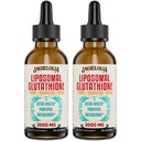 Glutationa Líquido lipossomal 2000MG – Antioxidante Detox Suplemento para Mulheres e Homens, Defesa do Envelhecimento, Função Fígado & Energia, com Ácido Hialurônico + Aloe Vera + Vitamina C, Natural & Vegan, 4 FL.OZ