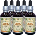 Groselha preta (Ribes nigrum) Tintura, folhas secas Extrato Líquido (Nome da marca: HerbalTerra, Proudly Made in USA) 5x2 fl.oz (5x60 ml)