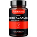 PhiNaturals Organic Ashwagandha Root Extract em Cápsulas Vegan Igual a 6000 Mg Root - Ashwaganda Suplemento para Homens e Mulheres com 1500 Mg Por Serviço 30 Servings - 500mg Por Cápsula Vegan 90 Contagem