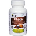 Sayan Siberian Chaga Mushroom Extract – 90 Cápsulas/420mg ea – Natural & Wild-Harvest Antioxidante Suplemento – Imune Sistema Suporte e Regular Funções do Corpo – Vegan, Não-GMO, Sem preenchimentos ou aditivos