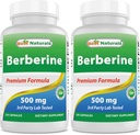 Melhores Natural Berberine 500mg 120 Cápsulas - Suporta Função Imune, Cardiovascular & Função Gastrointestinal (120 Contagem de 2))
