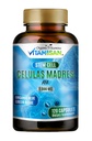 Celulas Madres AFA Stem Natural Cell 120 Cápsulas 1000 mg Blue Green Algae Non GMO Gluten Free Aphanizomenon Flos-aquae celula Suplemento Madre