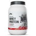 Níveis de proteína de whey alimentado de grama em pó, sem artificiais, 24G de proteína, morango, 2LB