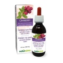 Naturalma Cranberry (Vaccinium macrocarpon ou Oxycoccus macrocarpos) Fruta Tintura sem álcool - 4 fl oz Extrato líquido em gotas - Suplemento de ervas - Vegan