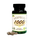GREENBOW Propolis 1000mg NonGMO Feito com Própolis orgânica 60 Cápsulas VEGAN CÁPSULAS