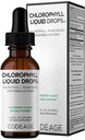 Codeage Chlorophyll Liquid Drops Supplement - Vegan Chlorophyll 50 mg por serviço, Aroma orgânico de hortelã Clorofila Drink - Non-GMO, Gluten-Free, Vegan - 2 fl oz