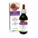 Naturalma Reishi (Ganoderma lucidum) Cogumelo ou Tintura sem álcool - 4 fl oz Extrato líquido em gotas - Suplemento de ervas - Vegan