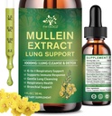 (2 Pack) 6 em 1 gotas de mullein para pulmões, extrato de folha de mullein orgânico tintura para pulmões, limpeza de detox e respiração para a saúde da respiração, Mullein suplemento de óleo Immune Suporte, Vegan, 1 Fl Oz