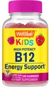 BemSim Vitamina B12 chicletes para crianças - Aumentar a energia, melhorar a função do cérebro, e fortalecer o sistema imunológico - Não-GMO, sem glúten - Grande sabor sabor de cereja - Fácil de mastigar - 60 chicletes