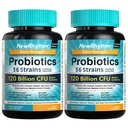 NewRhythm Probióticos 120 bilhões UFC 36 Strains, 3-em-1 Probióticos para Saúde Digestiva e Imune Suporte com Prebióticos & Enzimas, Probióticos para Mulheres e Homens, Vegan Targeted Release Supplement, 60ct