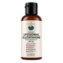 Suplemento de Glutationa lipossomal AMANDEAN. Líquido Reduzido Setria 500mg. Suporte imunológico, Saúde do Cérebro, Detox Fígado, Saúde da Pele. Fosfatidilcolina de Lecitina de girassol não-GMO. Soy-Free & Vegan.
