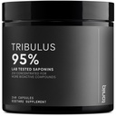 Tribulus Terrestris para homens - Extrato de ultra alta potência 25:1 com 95% de saponinas - 1300mg Fórmula pura e concentrada - Laboratório de terceira parte testado para pureza e qualidade - 240 Cápsulas