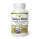 HerbalFactors by Natural Factors, Ginkgo Biloba, Suporta Memória, Desempenho Mental e Função Cérebro Saudável, 60 cápsulas (60 porções)